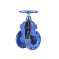 Corrosion resistant stainless steel gate valve